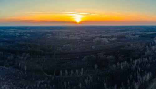 Icy Sunset over forest